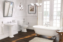 Load image into Gallery viewer, Astor Toilet

